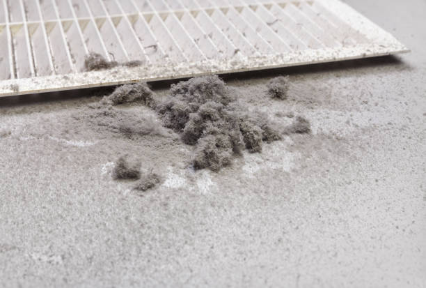 Best HVAC Maintenance and Cleaning  in Hometown, IL