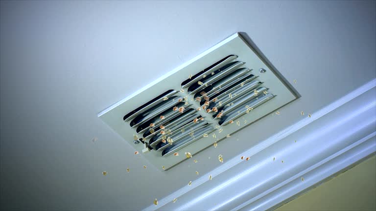 Best Ductwork Cleaning Services  in Hometown, IL